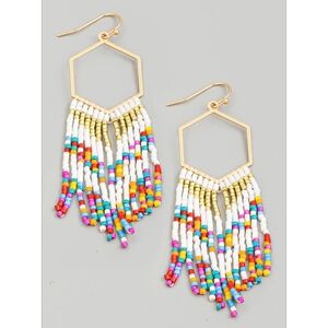 Multicolor Seed Beaded Hexagon Fringe Earrings